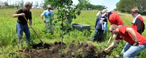 Pine Bend Oil Refinery Planting Trees for Environmental Stewardship